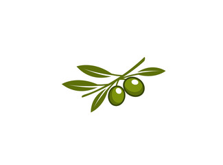 Fototapeta na wymiar branch olive with leaves