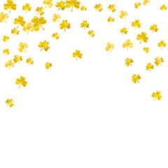 Clover background for Saint Patricks Day. Lucky trefoil confetti. Glitter frame of shamrock leaves. Template for poster, gift certificate, banner. Greeting clover background.