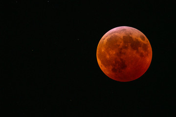 Super Blood Wolf Moon