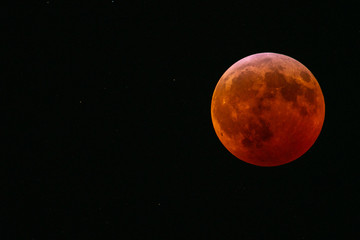 Super Blood Wolf Moon