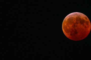 Super Blood Wolf Moon