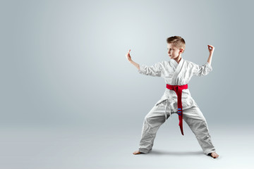 Creative background, a child in a white kimono in a fighting stance, on a light background. The...
