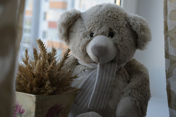 Teddy bear sitting on the window