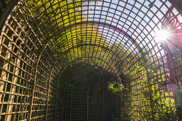 Long tunnel with green plants at Palace Versailles