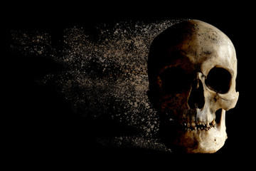 The human skull is falling apart in the wind like sand . Concept: nothing is timeless. Isolated on...