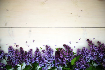 Beautiful spring flowers. Lilack on wood background