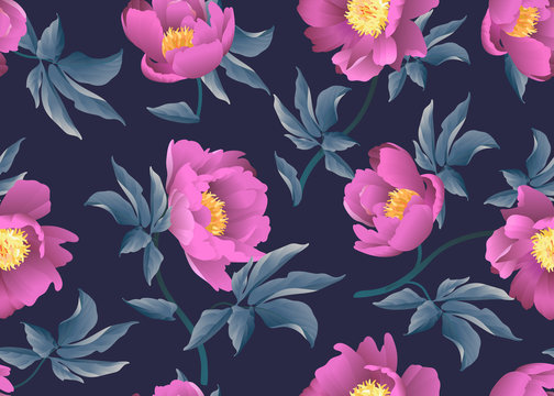 Pink peonies on black background. Vector seamless floral pattern.