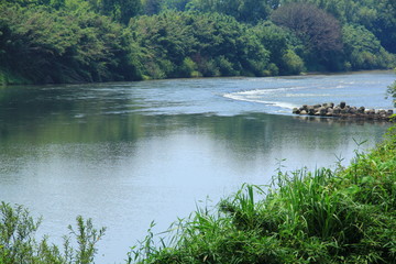 日本の利根川