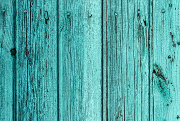 The background is the old green Board, close-up