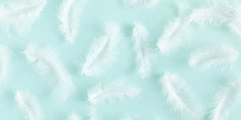 White feathers on pastel blue background. Flat lay, top view, banner