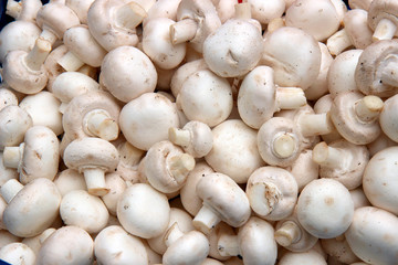 Mushrooms . Organic produce on display at the Farmers Market	