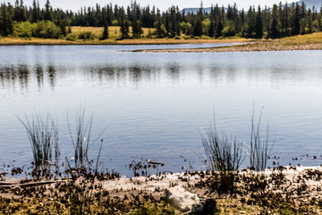 Views from some of the ponds in the park, Bow Valley Provincial Park, Alberta, Canada