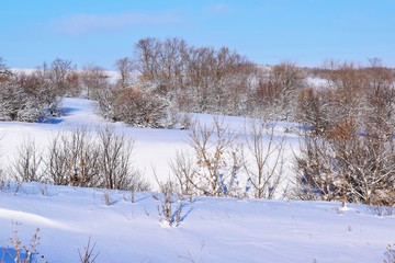 Beautiful winter landscape.Sunny day.