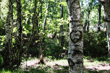 Herz Liebe Tree 
