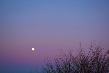 Full moon.Beautiful winter landscape.Round moon in the evening sky.