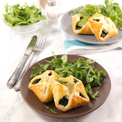 puff pastry with spinach and cheese