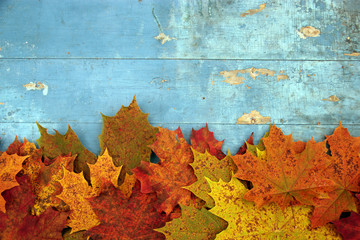 Yellow autumn maple leaves on an old vintage Board. Autumn background