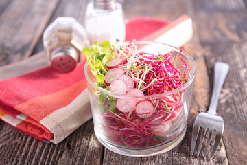 Obraz na płótnie Canvas vegetarian salad with radish