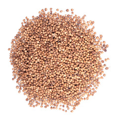 Coriander seeds isolated on white background