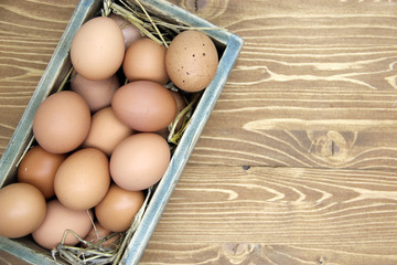 Fresh chicken eggs in wooden box