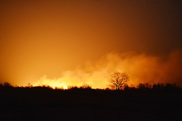 Forest fire caused by burning dry leaves and grass at night. Glow of a forest fire is seen far away at night