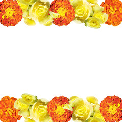 Beautiful floral background of marigolds and begonia 