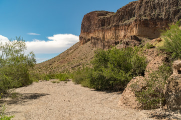 Fototapeta na wymiar Burro Mesa Trail