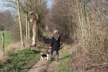 Hund jackrussel guckt frau rücken