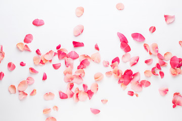 Valentine's Day. Rose flowers petals on white background. Valentines day background. Flat lay, top view, copy space.