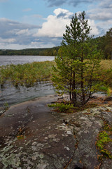 Russia. Republic of Karelia. Islands on the North-West coast of lake Ladoga near the town of Sortavala.