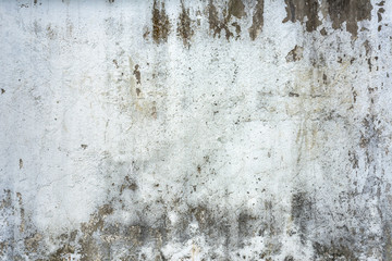 White cement. Texture stone concrete,rock plastered stucco wall. Painted flat fade pastel background grey solid floor grain.