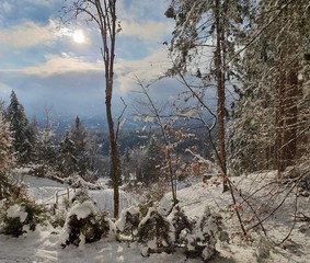 Wintertraum