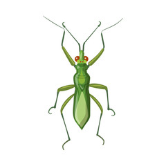 Isolated object of insect and fly logo. Set of insect and element stock symbol for web.