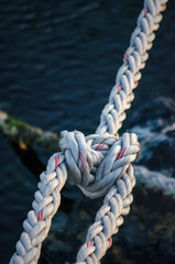 Fototapeta premium Old Mossy Rope in The Sea