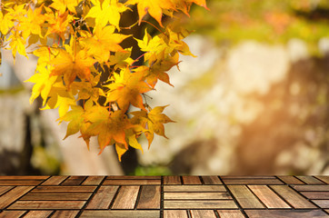 Naklejka na ściany i meble empty brown wooden floor or modern board, terrace with blurred view yellow maple leaves nature forest in autumn background, copy space for display of product, object presentation, advertising concept