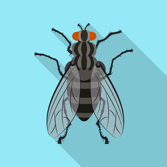 Vector illustration of insect and fly symbol. Collection of insect and element stock vector illustration.