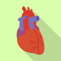 Vector design of body and human icon. Set of body and medical stock vector illustration.