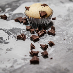 Freshly Baked Vanilla Muffin with Chocolate Chips