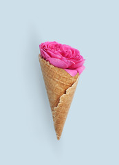 Pink flowers with icecream cone on blue background.