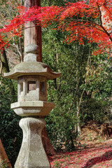 Japanese temple lantern stone sculpture with red maple leaves on autumn season.