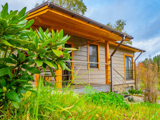 Two houses. Cottage surrounded by greenery. Houses for rent. Buy a cottage. Cottage village. Countryside. Houses in Northwest USA. Buying a property.