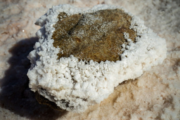stone covered with salt for Salt Lake Baskunchak