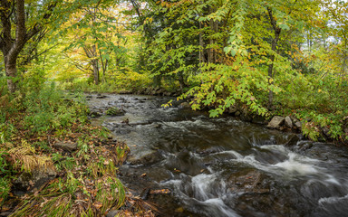 Fototapeta premium Thundering Brook Trail, Green Mountain National Forest, Woodstock, VT