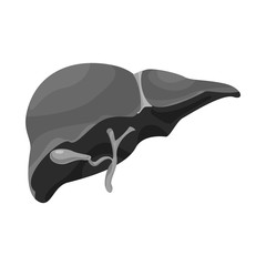 Isolated object of body and human icon. Set of body and medical stock vector illustration.