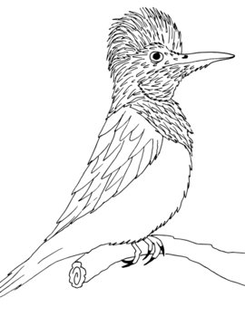 recommend clip art: Paint bird on the tree. Black line.