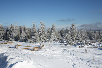 Fototapeta premium Winterlandschaft im Schwarzwald