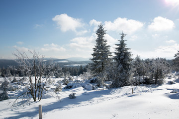 Fototapeta na wymiar Winterwonderland im Schwarzwald