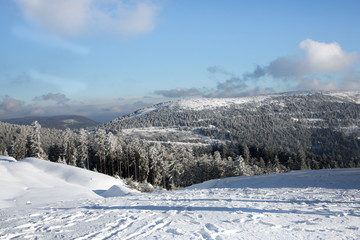 Fototapeta na wymiar Winterlandschaft im Schwarzwald