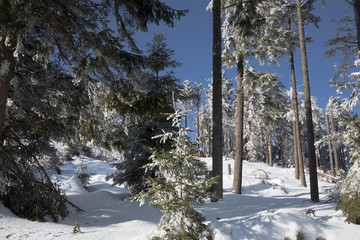 Winterlandschaft im Schwarzwald, Schwarzwaldhochstraße 