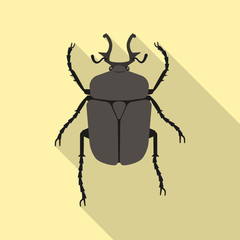 Vector illustration of insect and fly symbol. Collection of insect and element stock symbol for web.